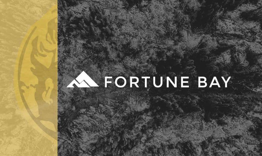 Fortune Bay Announces Grant of Stock Options