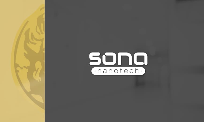 Sona Nanotech Grants Options